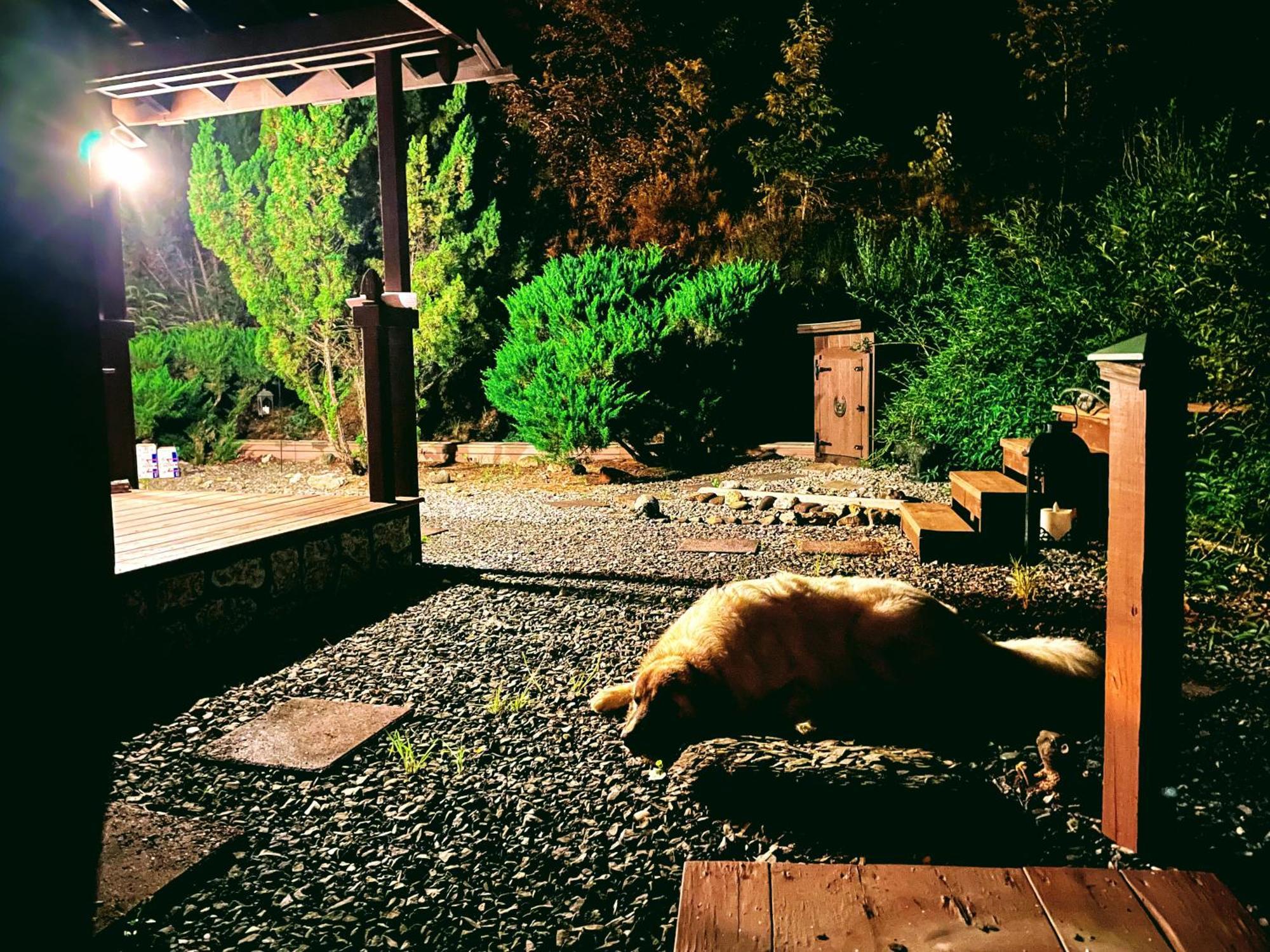 Tiny House, Wifi,Hot Tub,Secluded Villa Cosby Exterior photo