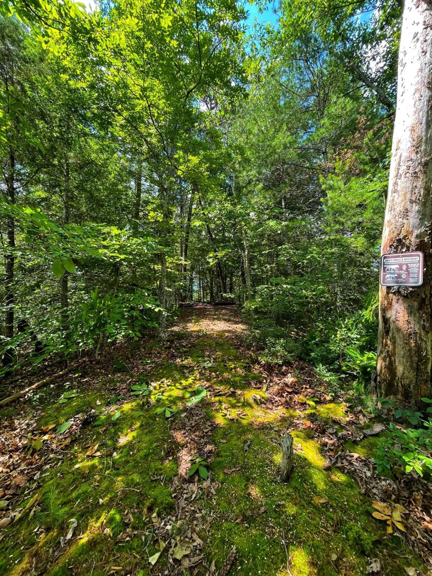 Tiny House, Wifi,Hot Tub,Secluded Villa Cosby Exterior photo